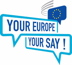 EU Have Your Say logo